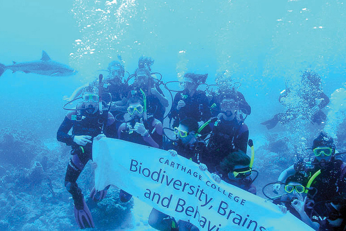 Students on the J-Term study tour Biodiversity, Brains and Behavior encounter a shark underwater in Honduras.