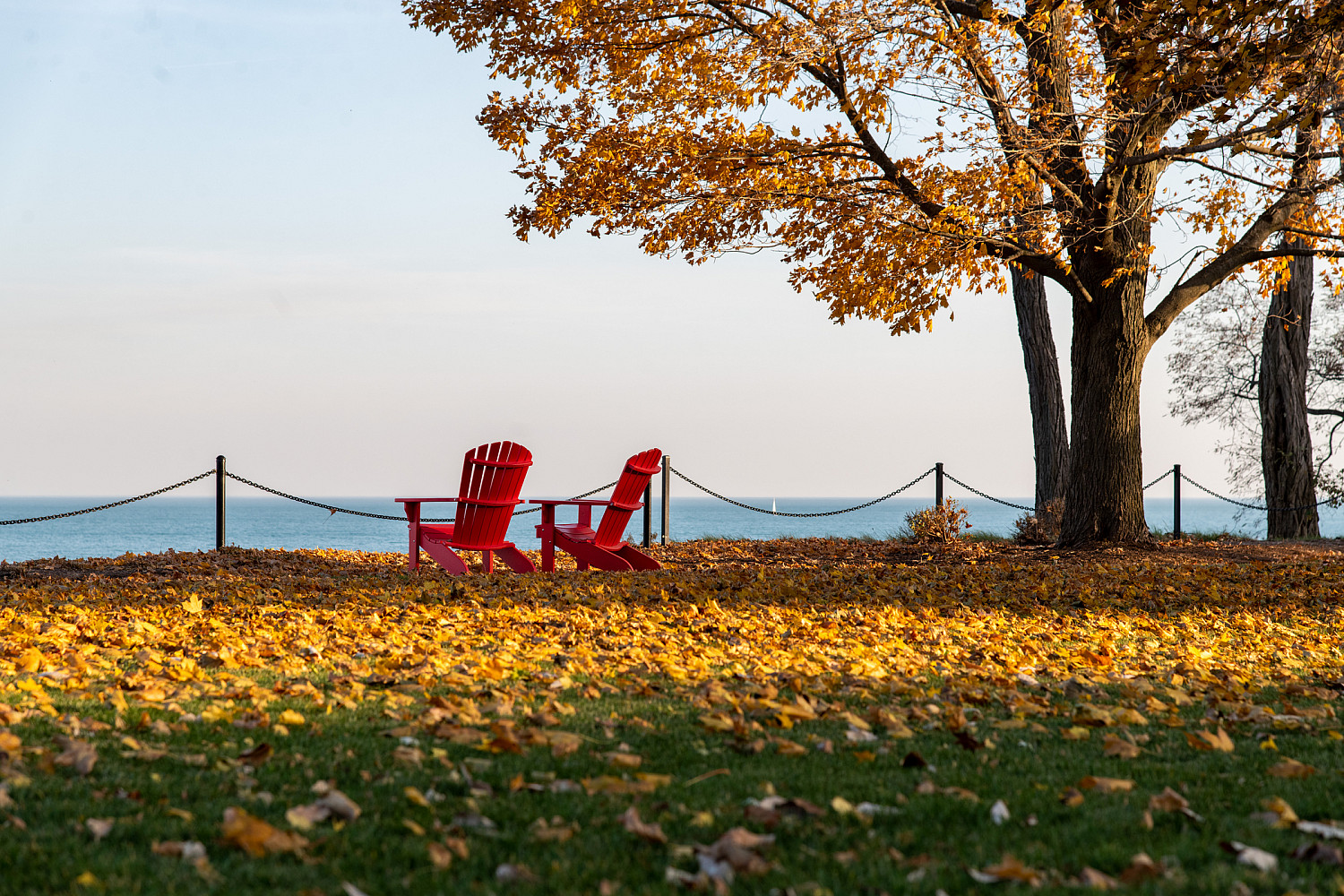 Our Midwest location means Carthage students get to enjoy all four seasons. Many students will say fall is their favorite.