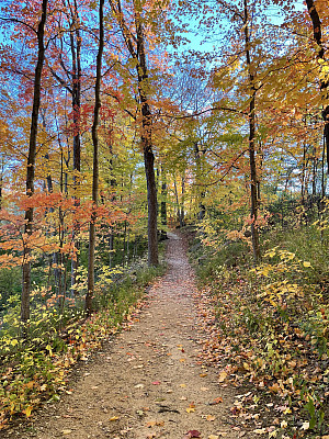 A photo taken at Petrifying Springs Park by student Sarah Kersten '26