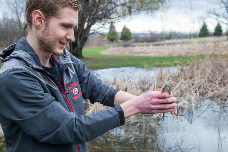 A Carthage College student conducts field research during an environmental studies class.