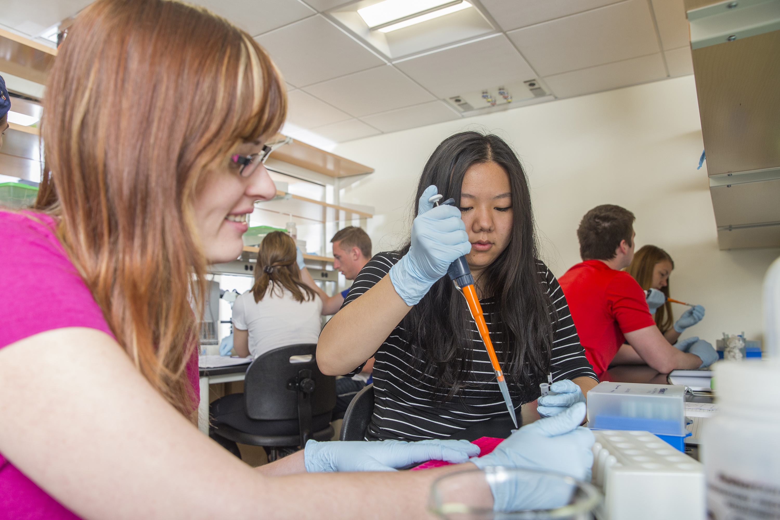 Early and often in their time at Carthage, students are challenged to perform original study unde...