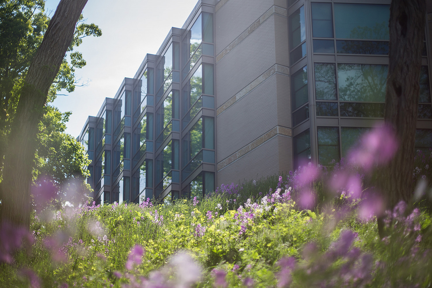 The Oaks Residential Village exterior.