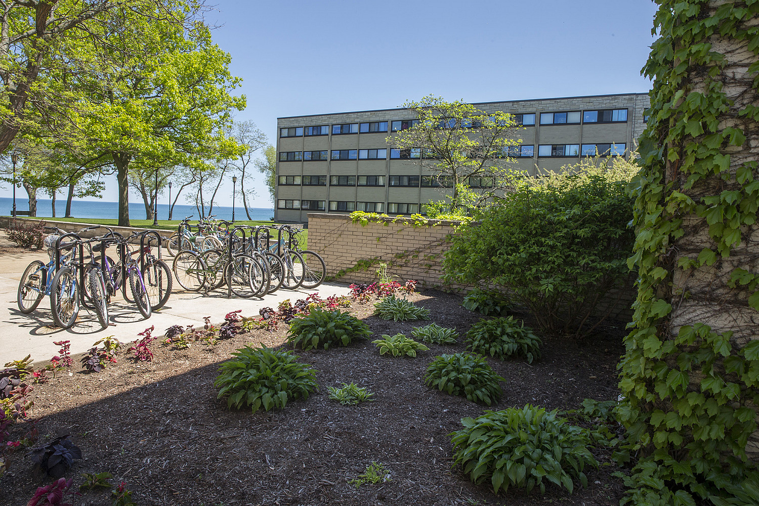 Johnson Hall, a co-ed building, is comprised of standard double rooms, a few quad rooms, and some suite-style options. Some rooms offer v...