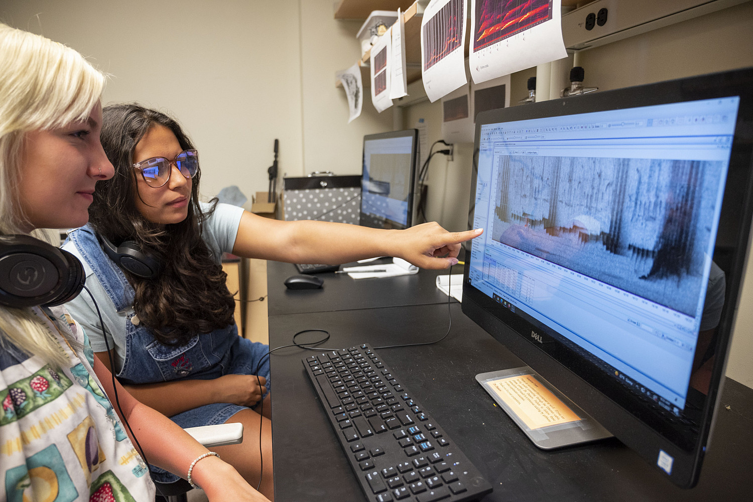 Carthage students analyzing vocalizations of a critically endangered species of primate called the Cao-vit gibbon (Nomascus nasutus).