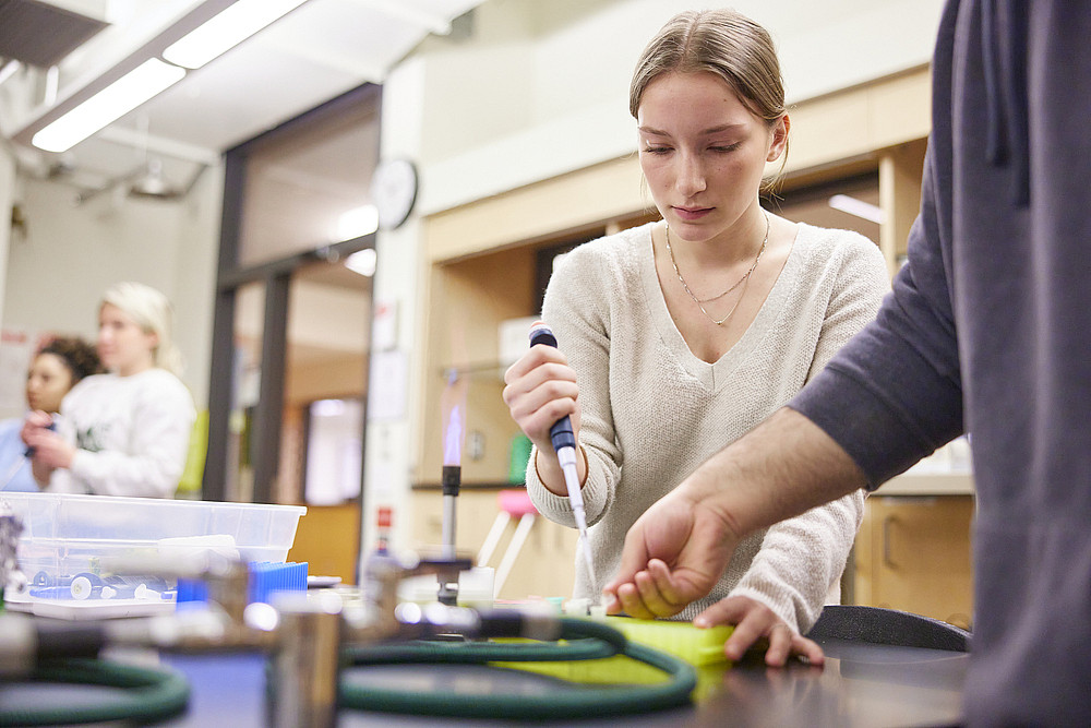 Students conducting research in a Phage Hunters course.