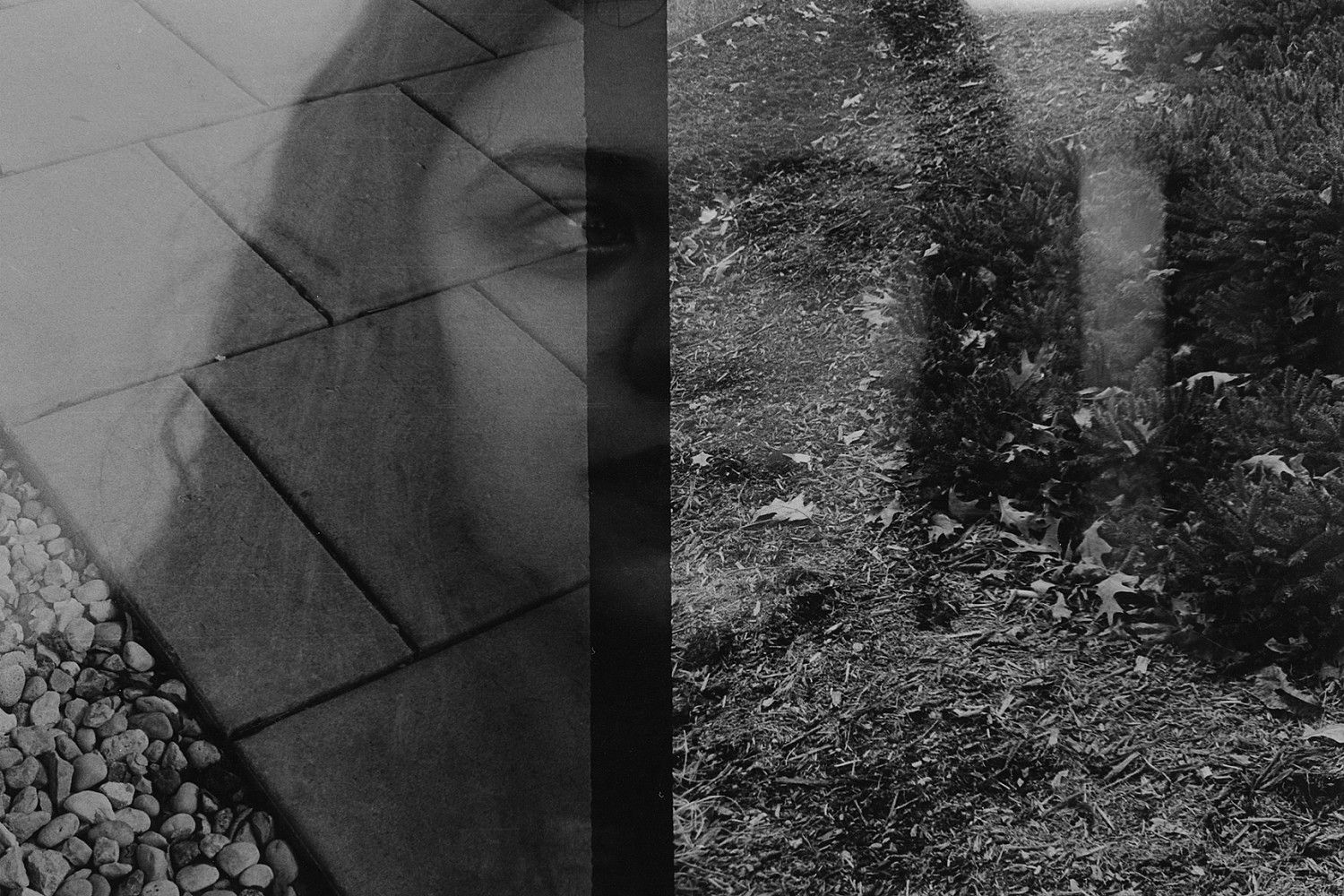 Gelatin silver print, Spring 2019, Megan Janiak '20