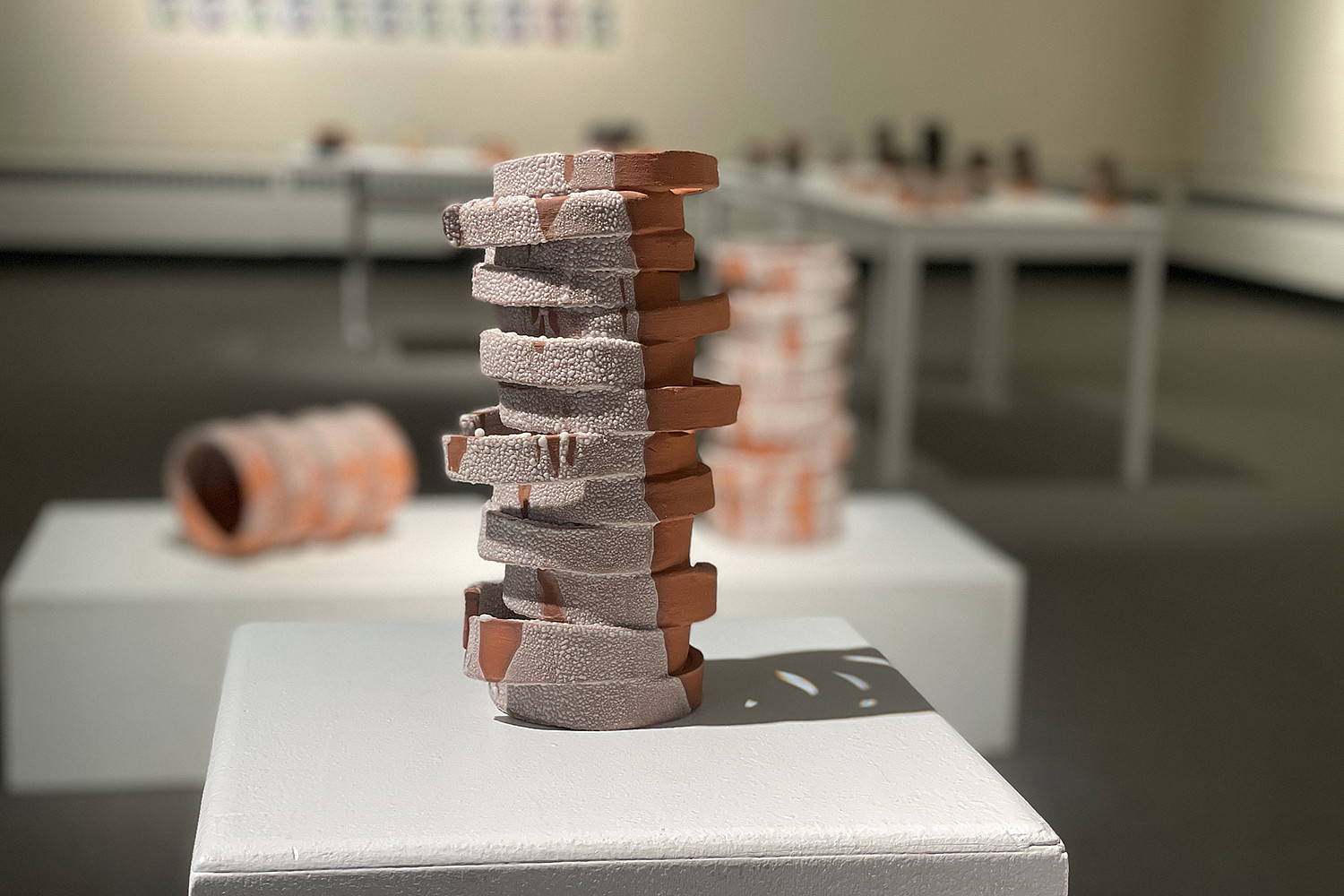 Ceramics, Spring 2021 (from Senior Thesis Exhibition), Emily Trecroci '21