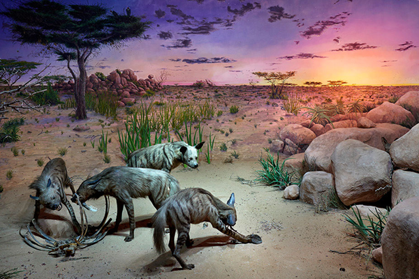 “Declassified art exhibit