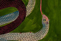 ?Natural History? art exhibit