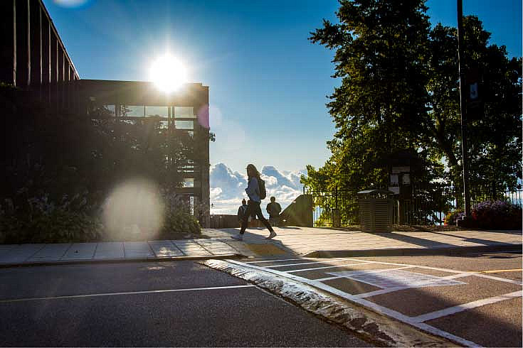 Students walk down Campus Drive on the way to class.