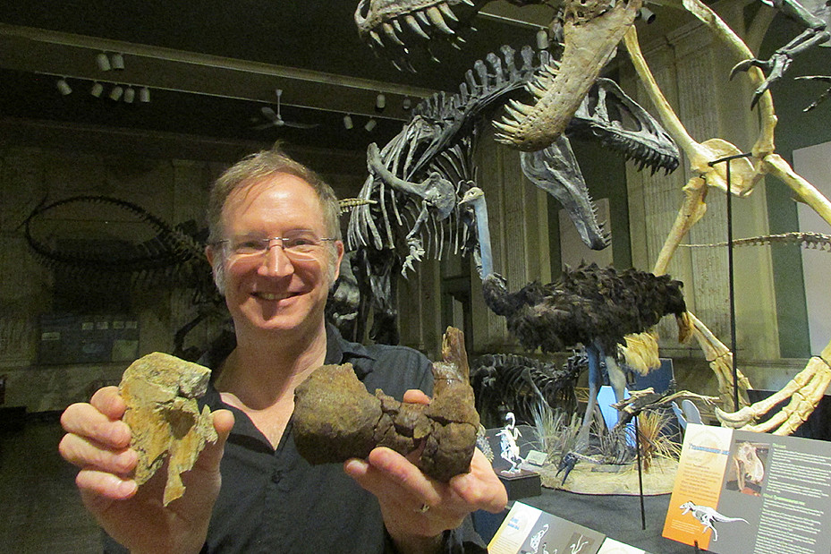 Professor Thomas Carr (biology, paleontology) holds a portion of a shin and ankle of a T. rex.