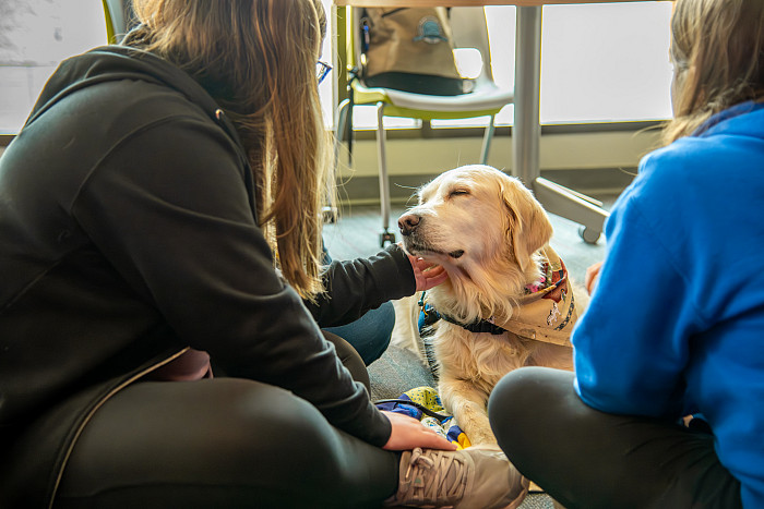 Students petting K-9 comfort dogs.