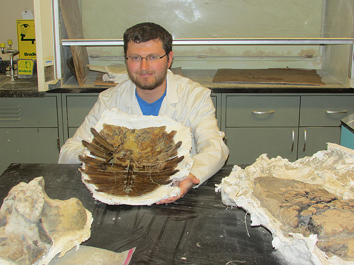 Brady Holbach '20 in the Carthage Institute of Paleontology laboratory, proudly holding a spectacular fossil turtle shell that he prepare...