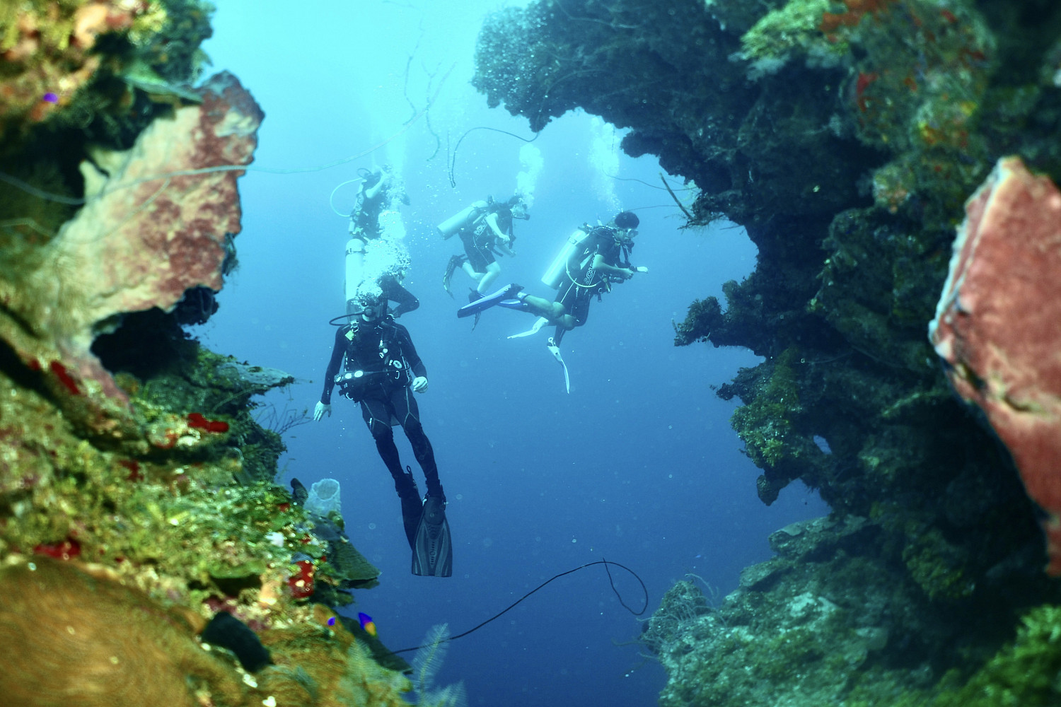 Students scuba diving in Honduras for J-Term.