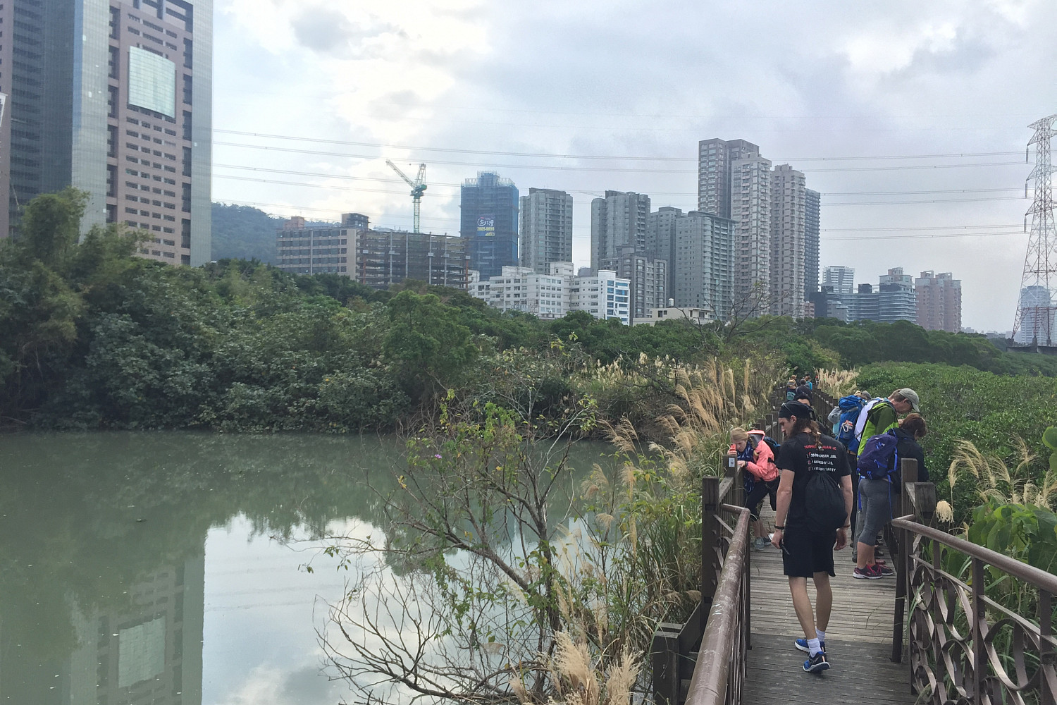Mangrove boardwalk in Taiwan