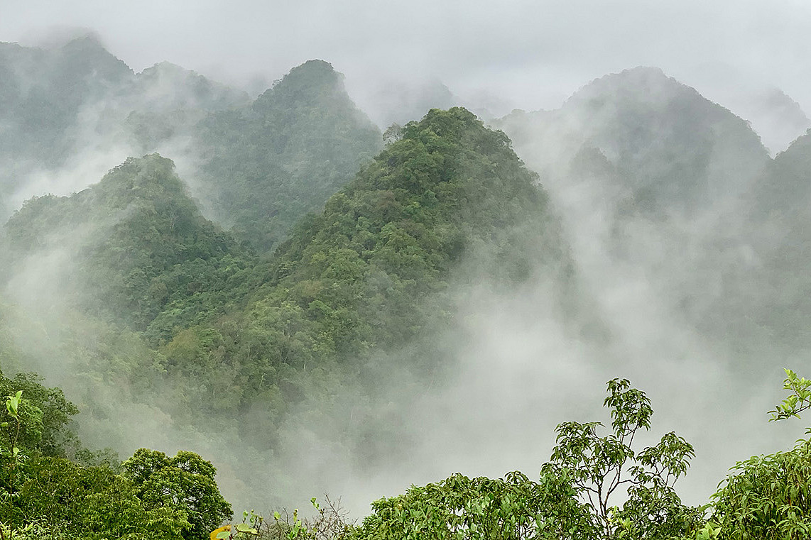A photo taken from the field site in northern Vietnam.