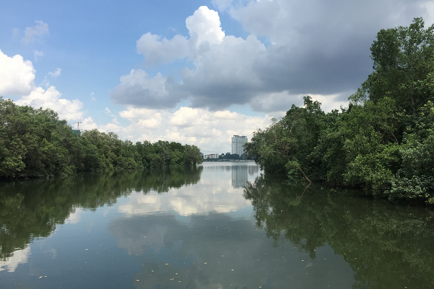 Sungei Buloh