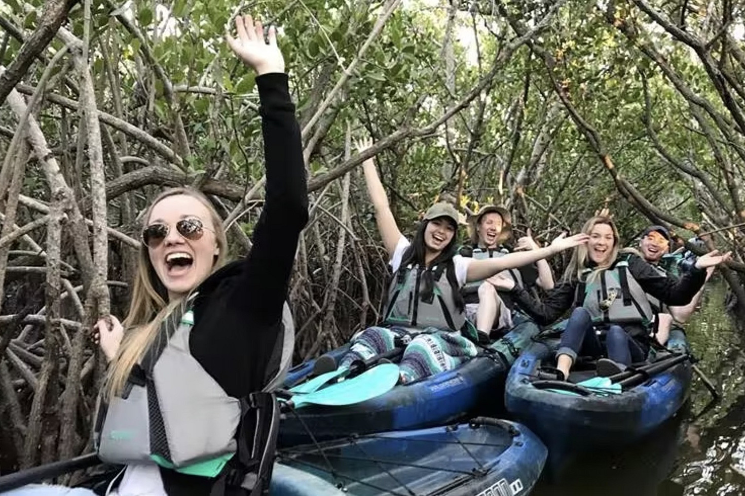 Kayaking in the Mangroves