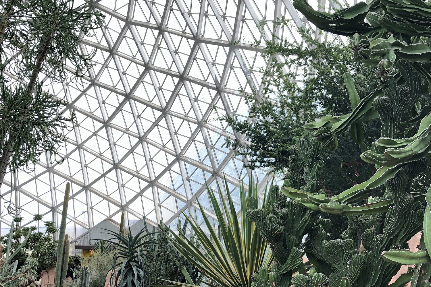 Milwaukee Domes -- Desert Dome