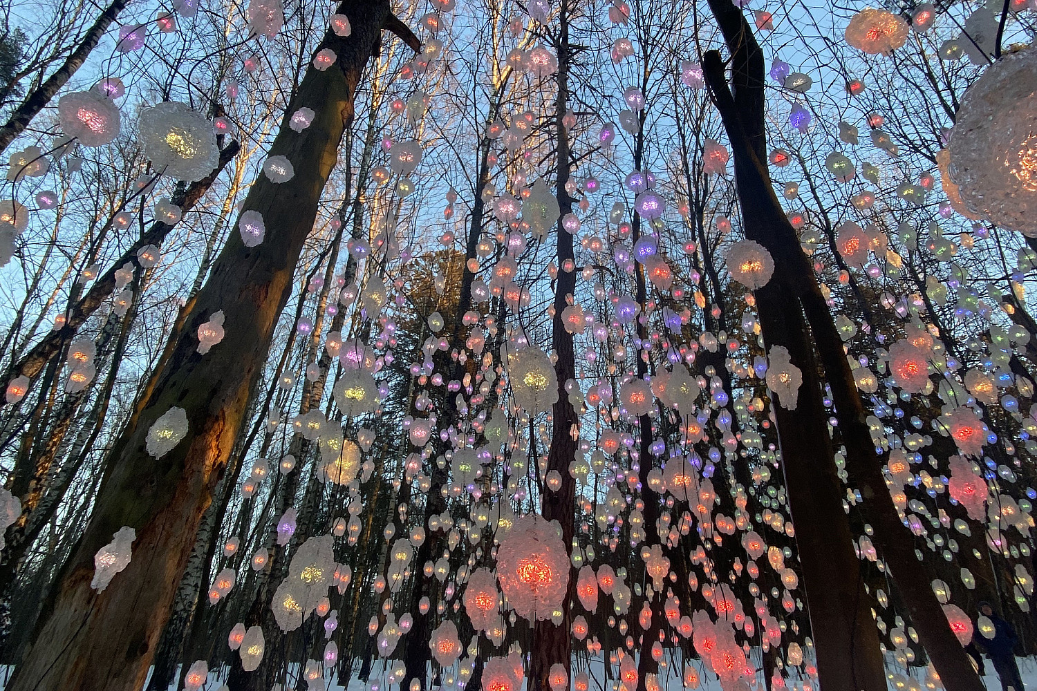 Nordic Pixel Forest in Ekebergparken Sculpture Park.