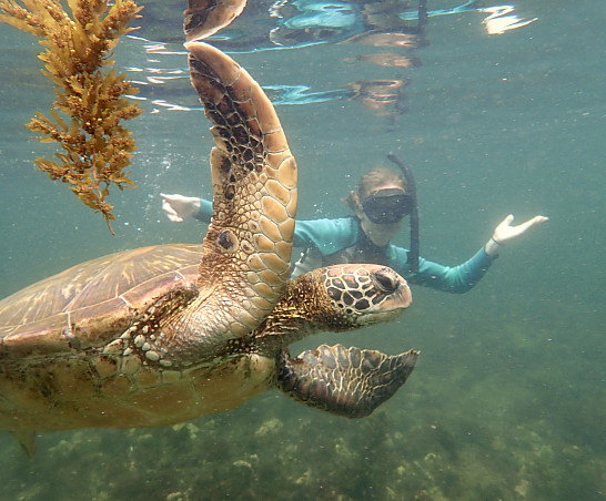 A photo from the 2023 study tour to the Galápagos Islands.