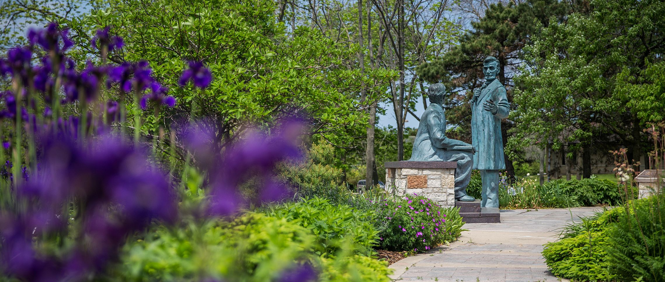 Summer flowers on campus