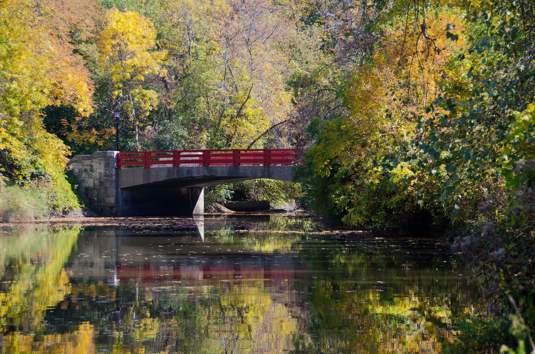 The red bridge in fall