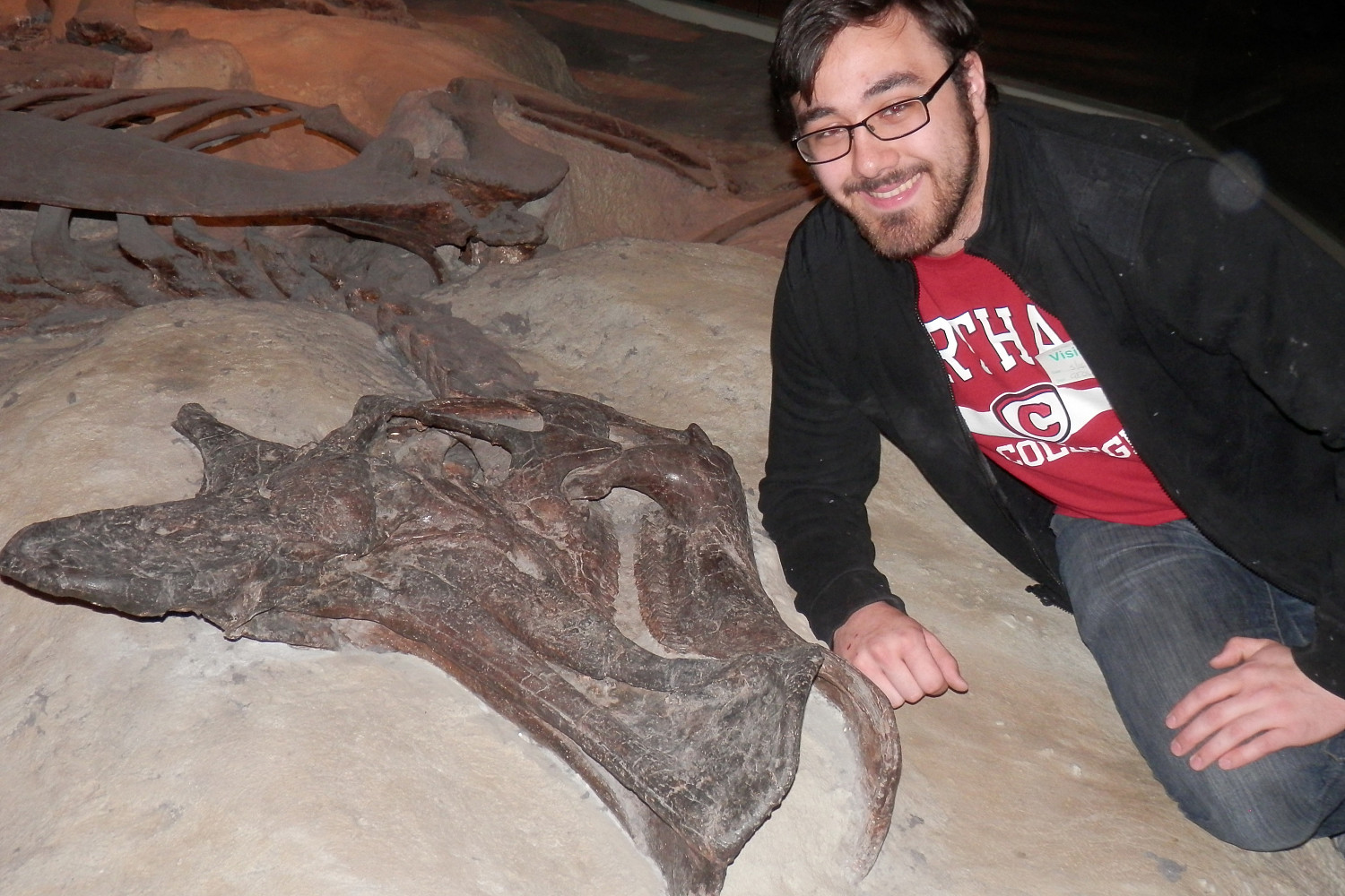 Stephen Hobe '15 poses next to a duck-billed dinosaur skeleton at the Field Museum, the species that was the basis of his senior thesis.