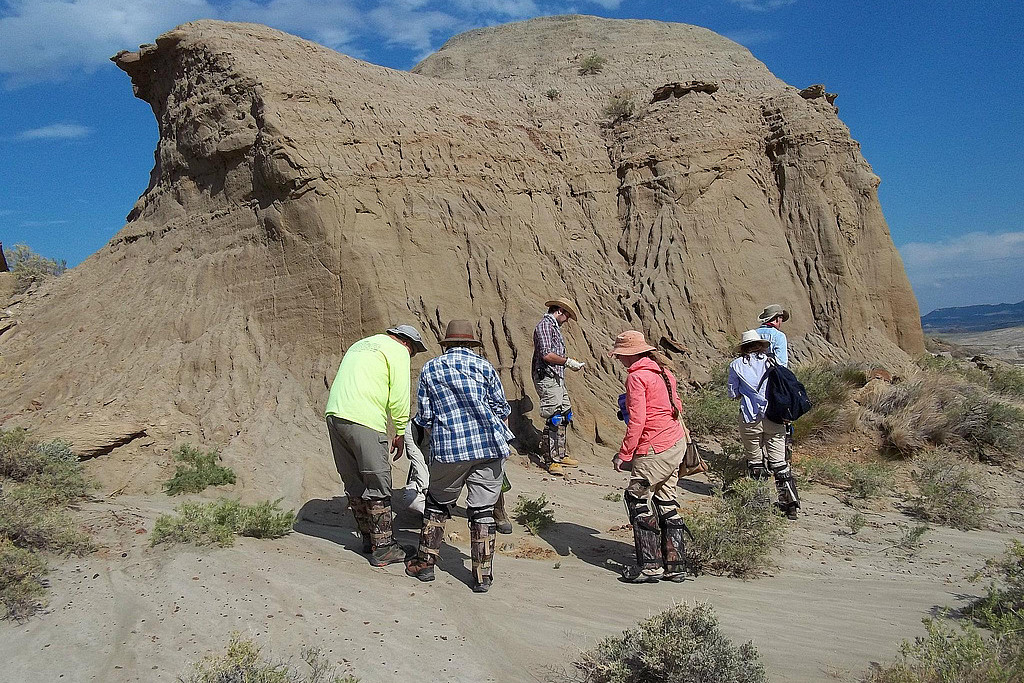 Paleontology degree students and Dr. Seitz prospecting for new fossils in the Hell Creek Formation, Montana, during the 2012 summer J-Ter...