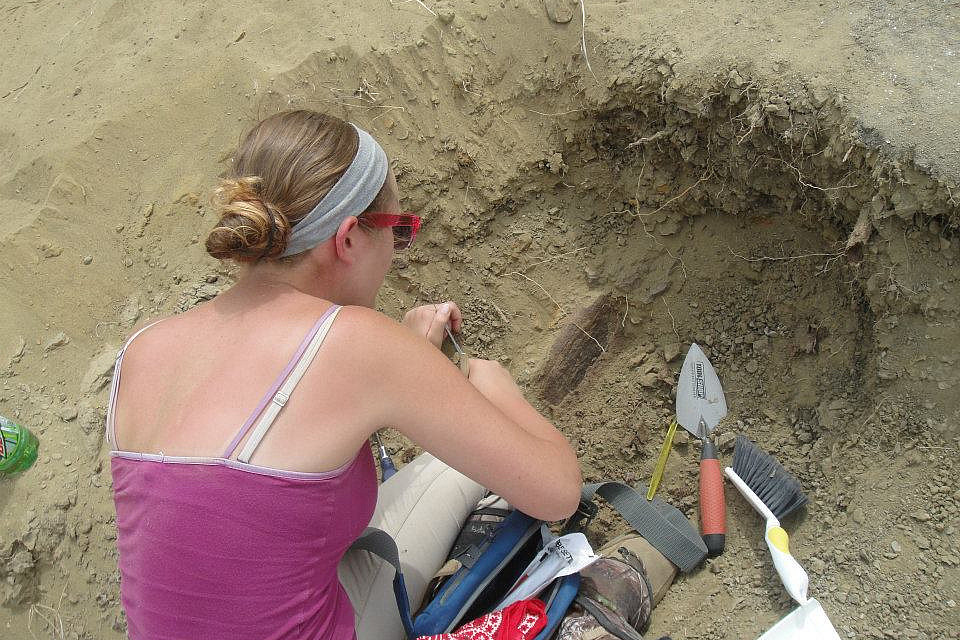 Stephanie Constantine '15 uncovers a dinosaur bone that she discovered during the expedition.