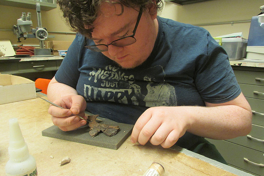 Nathan Cochran '23, Department Fellow, piecing together the fragments of a Triceratops pterygoid (from the palate) bone in Spring 2023.